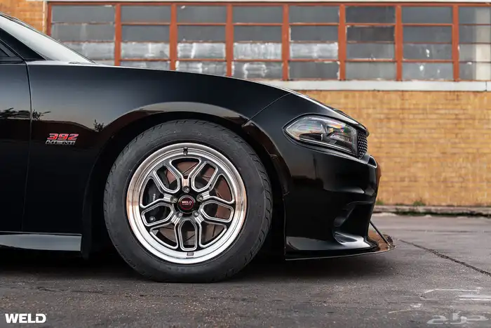 نوفر لكم جميع جنوط ويلد - بيدلوك - جميع الجنوط الرياضيه 16