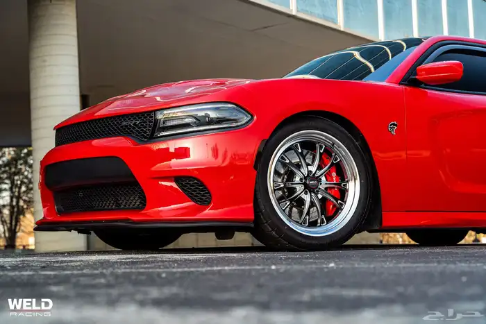 نوفر لكم جميع جنوط ويلد - بيدلوك - جميع الجنوط الرياضيه 15