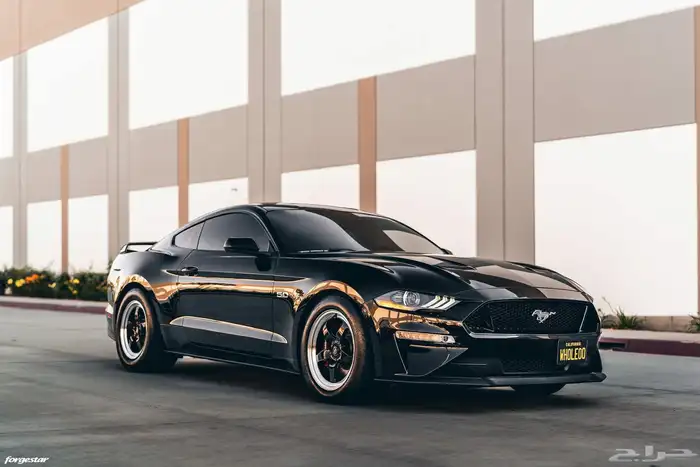 نوفر لكم جميع جنوط ويلد - بيدلوك - جميع الجنوط الرياضيه 87