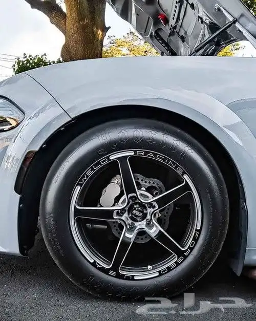 نوفر لكم جميع جنوط ويلد - بيدلوك - جميع الجنوط الرياضيه 14