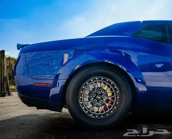 نوفر لكم جميع جنوط ويلد - بيدلوك - جميع الجنوط الرياضيه 23