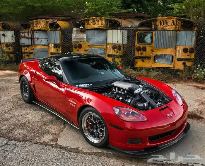 نوفر لكم جميع جنوط ويلد - بيدلوك - جميع الجنوط الرياضيه 39