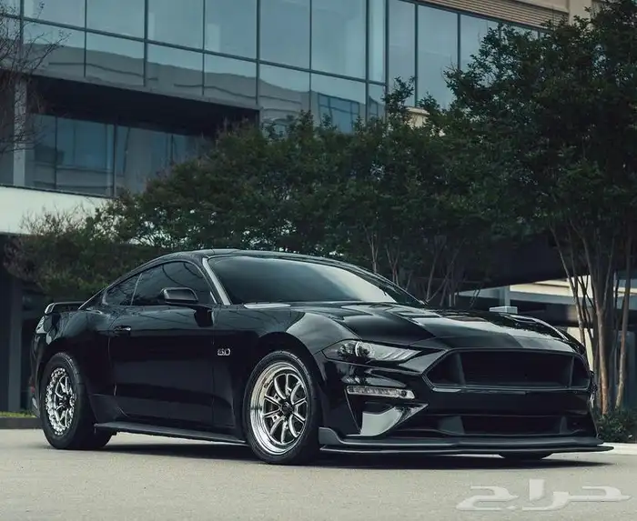 نوفر لكم جميع جنوط ويلد - بيدلوك - جميع الجنوط الرياضيه 38