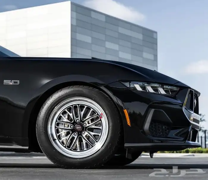 نوفر لكم جميع جنوط ويلد - بيدلوك - جميع الجنوط الرياضيه 12