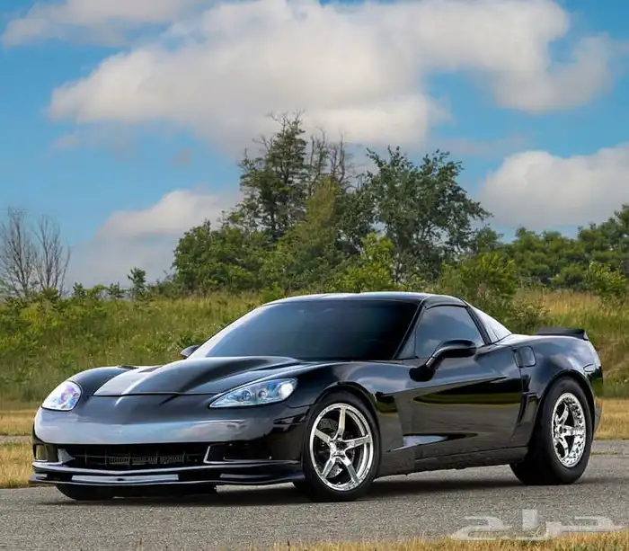 نوفر لكم جميع جنوط ويلد - بيدلوك - جميع الجنوط الرياضيه 40