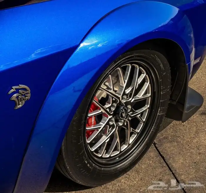 نوفر لكم جميع جنوط ويلد - بيدلوك - جميع الجنوط الرياضيه 24