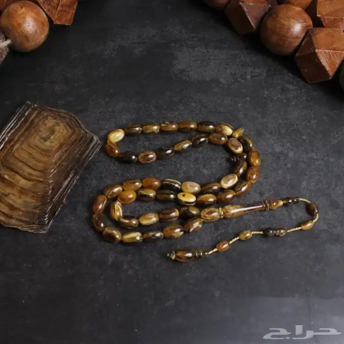 قطعة فريدة ظهر سلحفاة برية 0