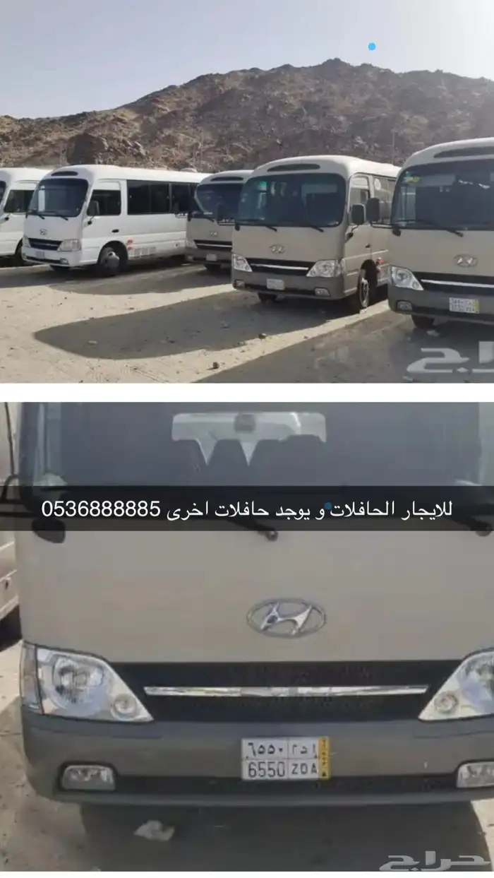 تاجير. كوسترات نظيف جدا اسعار مغريه 5