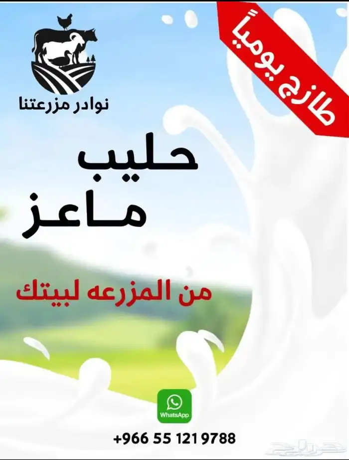 حليب ماعز طازج 0