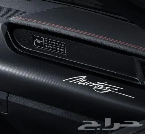 اكسسوارات موستنج صدامات قطع غيار 4