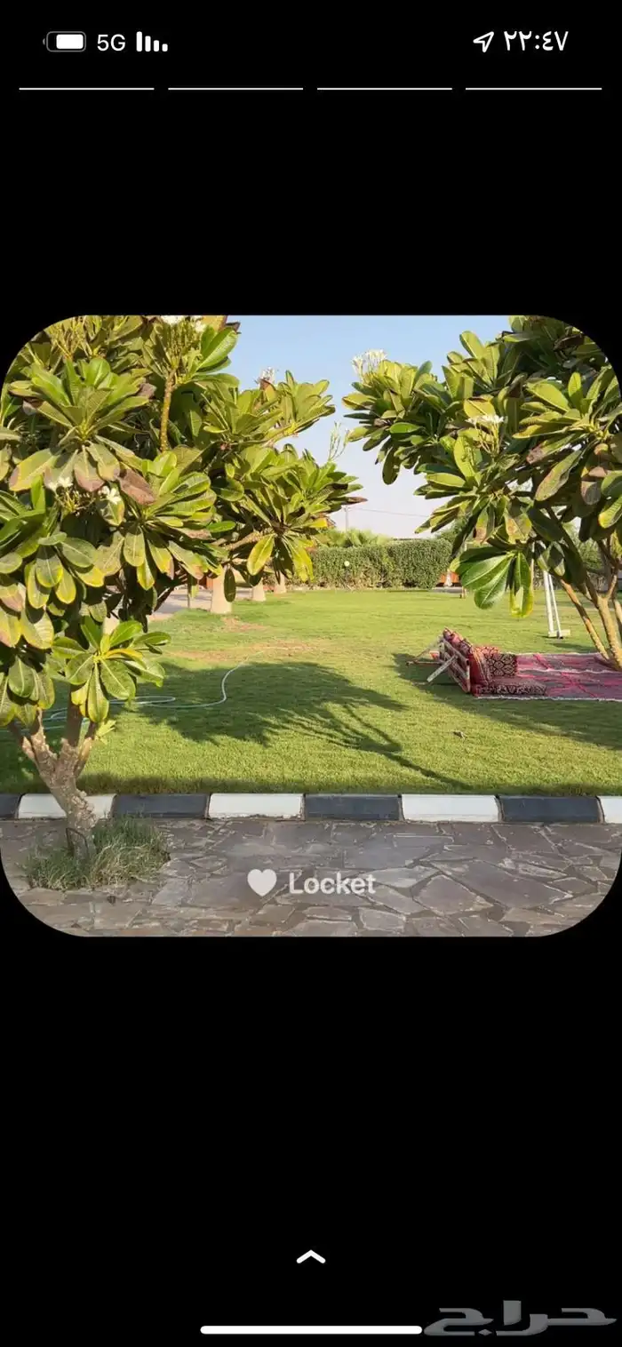 منتجع للايجار 6