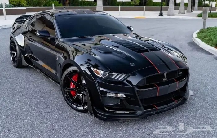 اكسسوارات موستنج صدامات قطع غيار 23