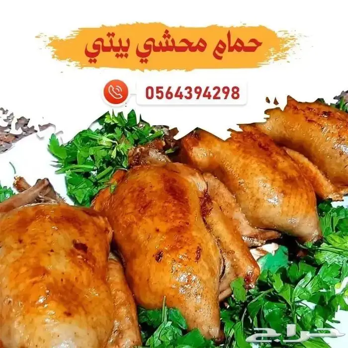 حمام محشي مع ارز بالخلطة حائل الجوز 65 ريال 8