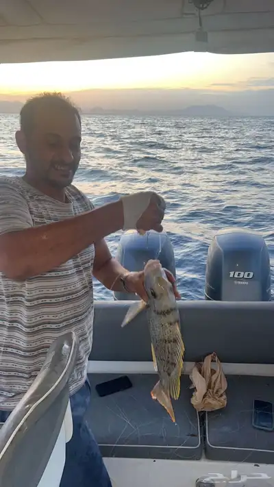 الرايس قارب صيد 0