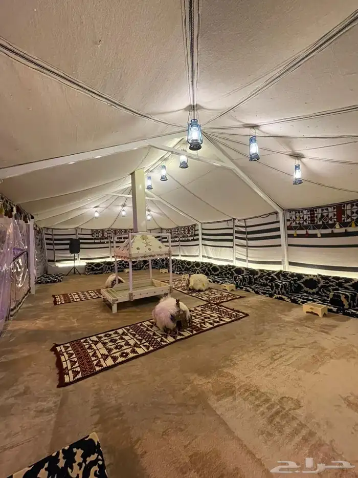 استراحة ومنتجع ومزرعة للايجار. اليومي 21