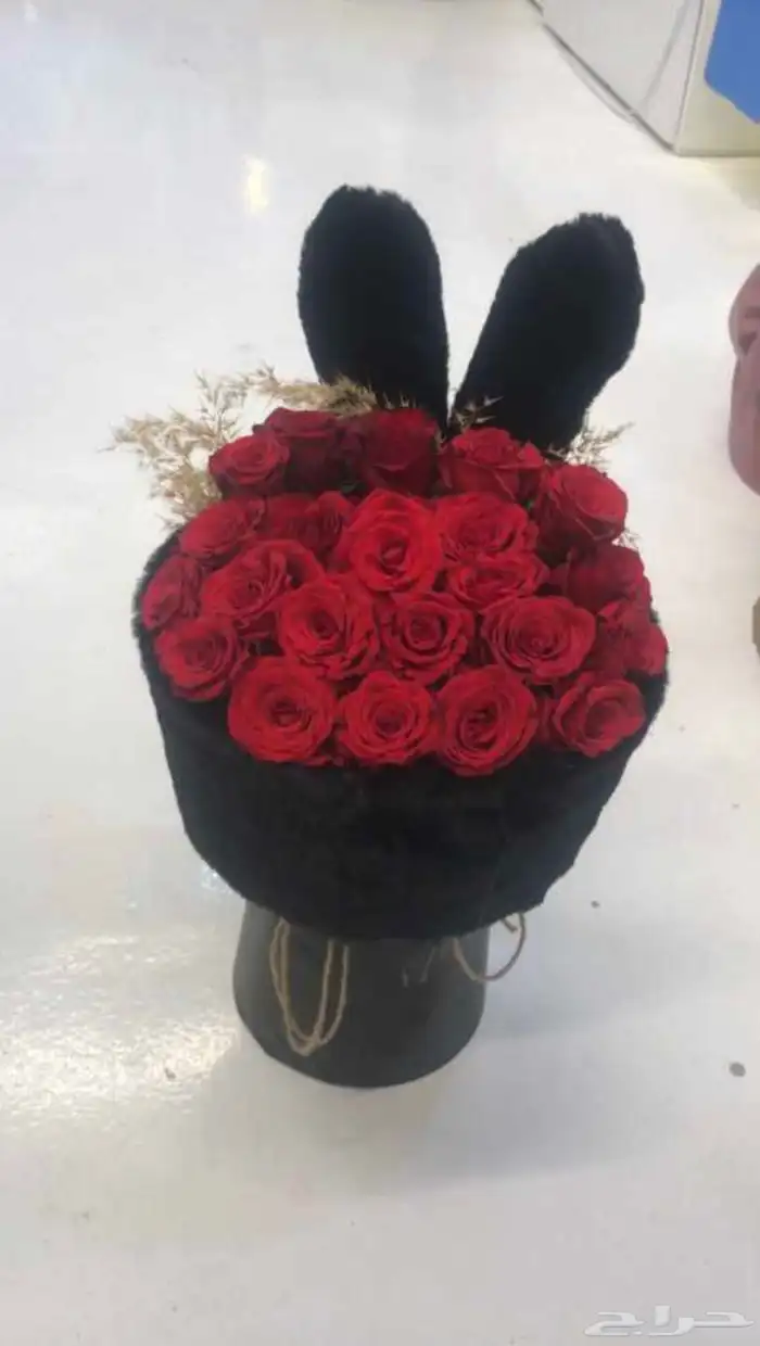 هدايا   استقبال   كوش لدى سكة روز 31