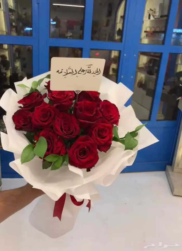 هدايا   استقبال   كوش لدى سكة روز 40