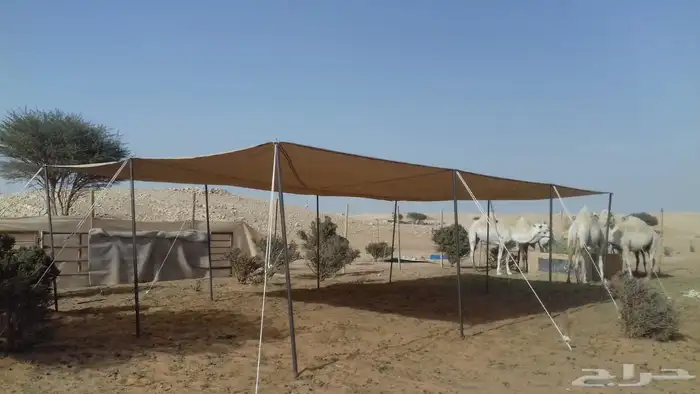 مظلات الجزيرة 20