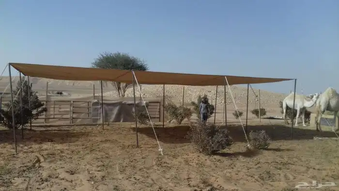 مظلات الجزيرة 17
