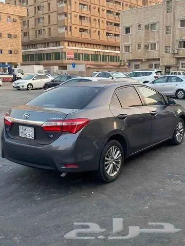كداد مشاوير و طلبات شقراء 0