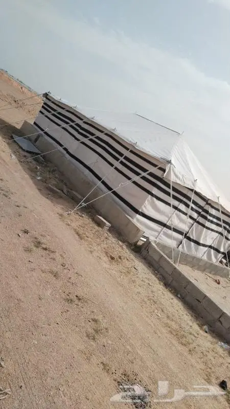 خيام دورات مياه 4