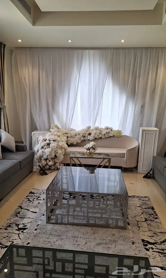 هدايا   استقبال   كوش لدى سكة روز 83