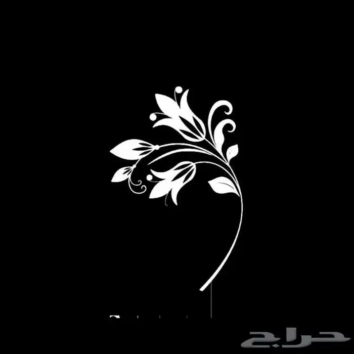 نصمم استكرات بالجمله والقطاع 10