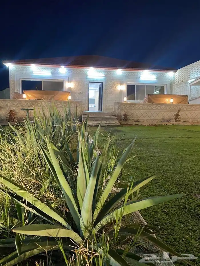 شالية روح وريحان للايجار اليومي بالحوية حي رحاب 28