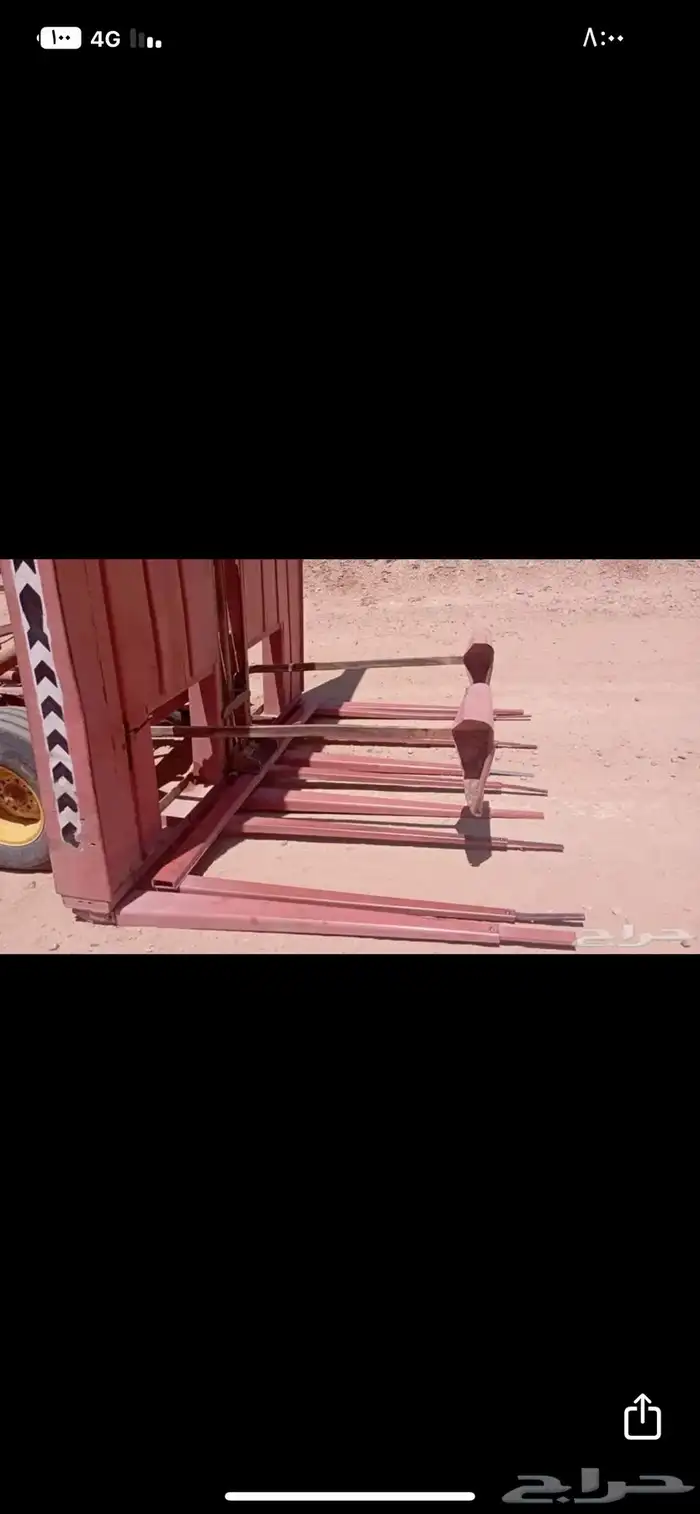 لقاطه اعلاف 5