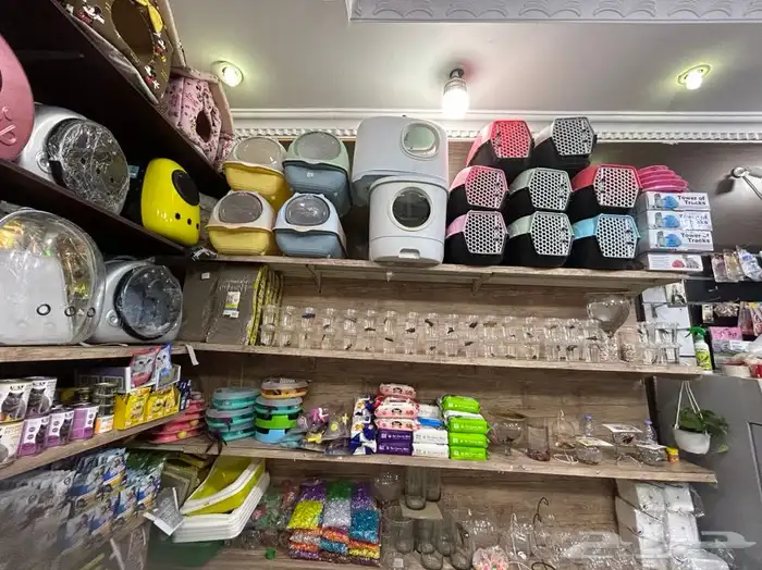 طيور كروان روز 46