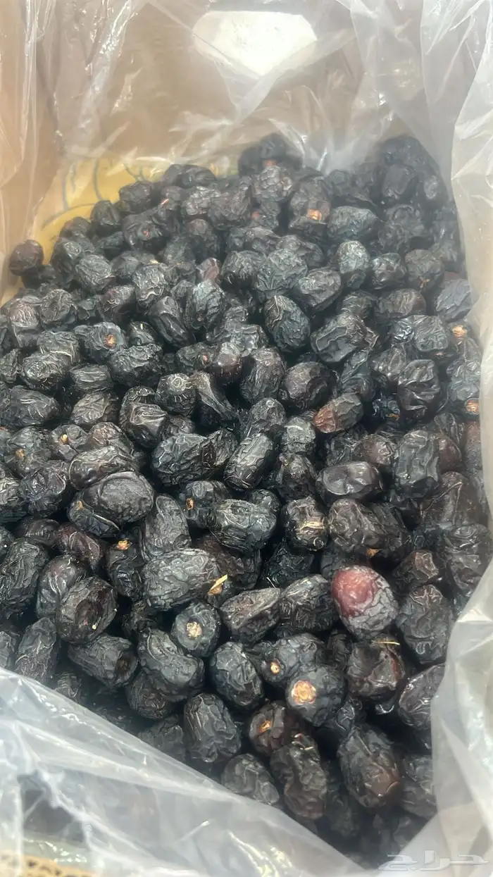 تمر سكري و مفتل ومجرش و خلاص وادي الدواسر 34