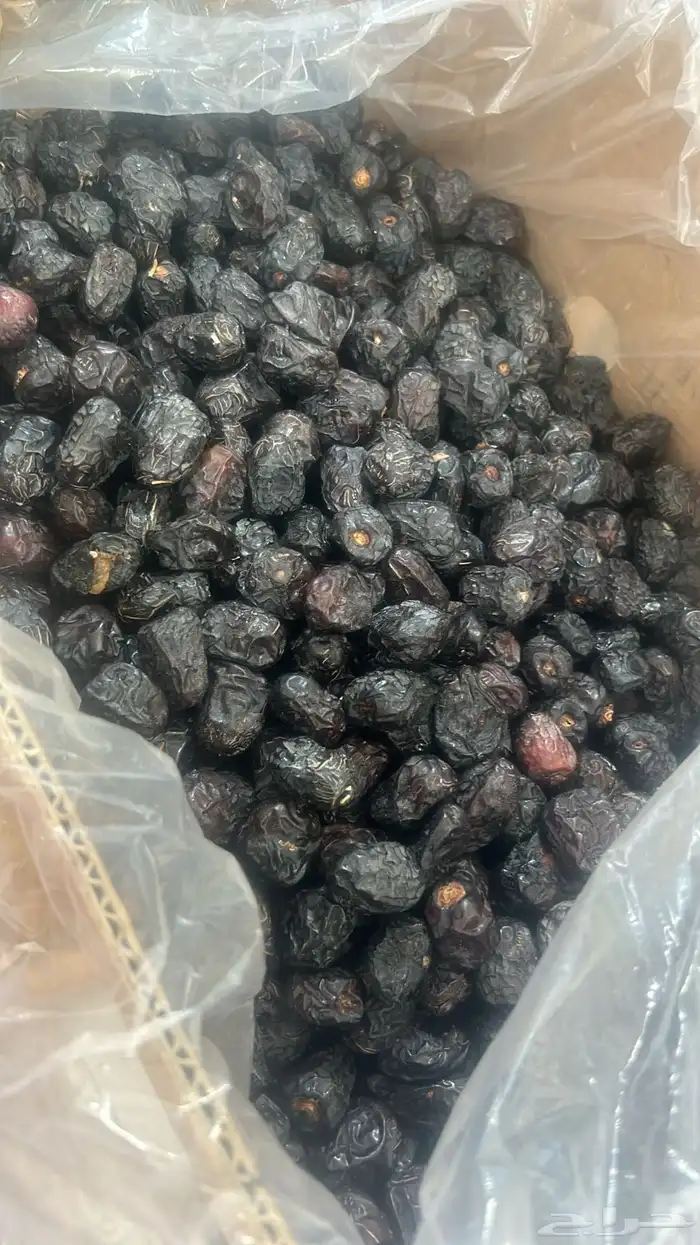 تمر سكري و مفتل ومجرش و خلاص وادي الدواسر 44