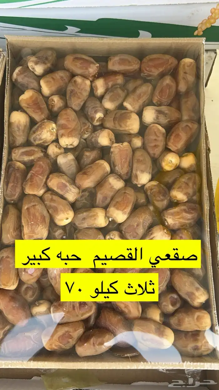 تمر سكري و مفتل ومجرش و خلاص وادي الدواسر 29