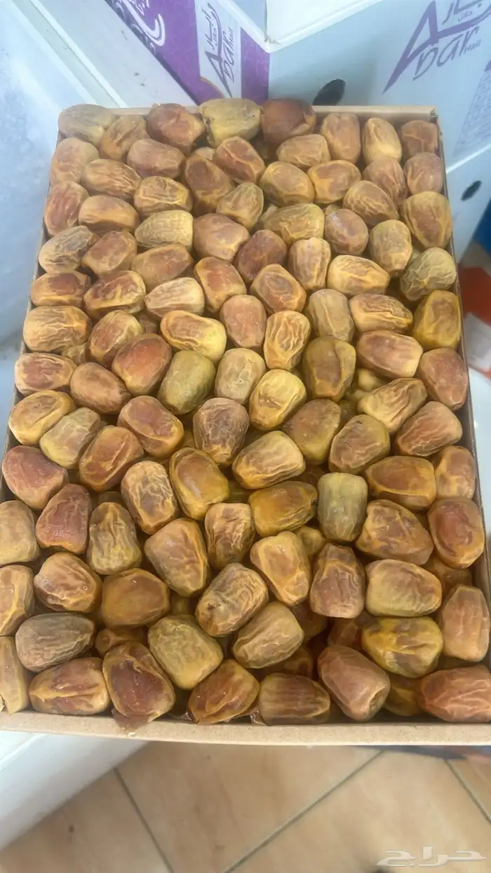 تمر سكري و مفتل ومجرش و خلاص وادي الدواسر 36