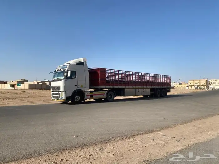 تريلا لنقل الحلال والإبل   ابوليلى 1