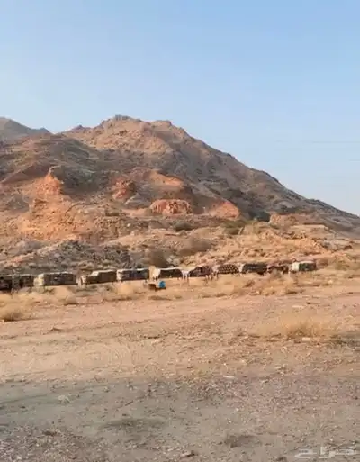 عسل جبلي صافي جديد من منحلي شخصي ا 11