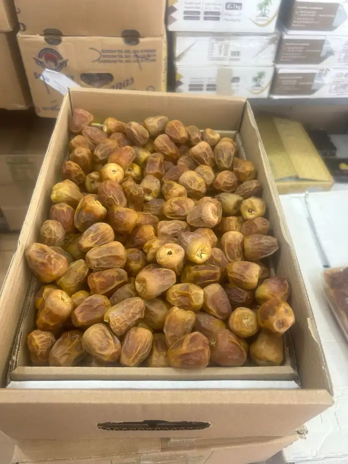 تمر سكري و مفتل ومجرش و خلاص وادي الدواسر 40