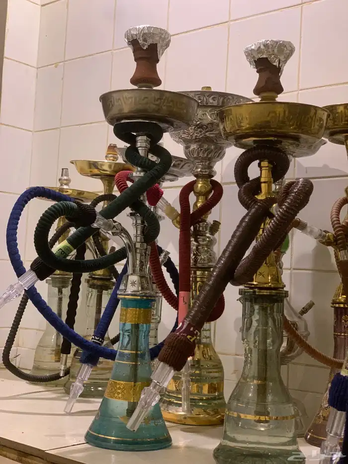 تاجير شيش معلمين شيش 2