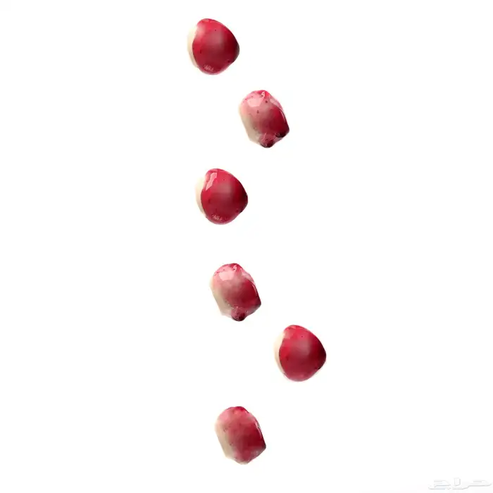 تصوير منتجات واطعمه ومشاريع وعقارات 1