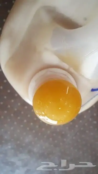 عسل سدر دوعني 8