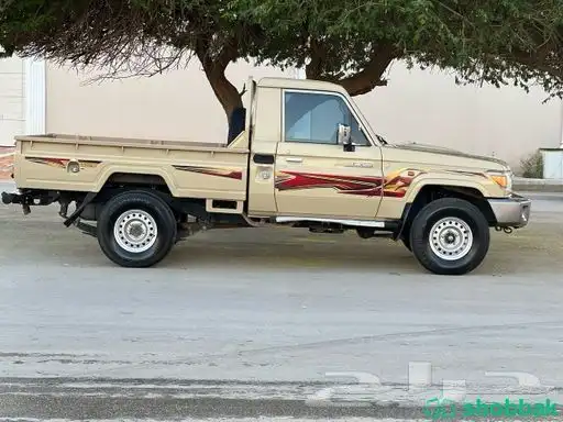 خط شاص سعودي 2018 و نور شرايح لد LED شاص وربع 6