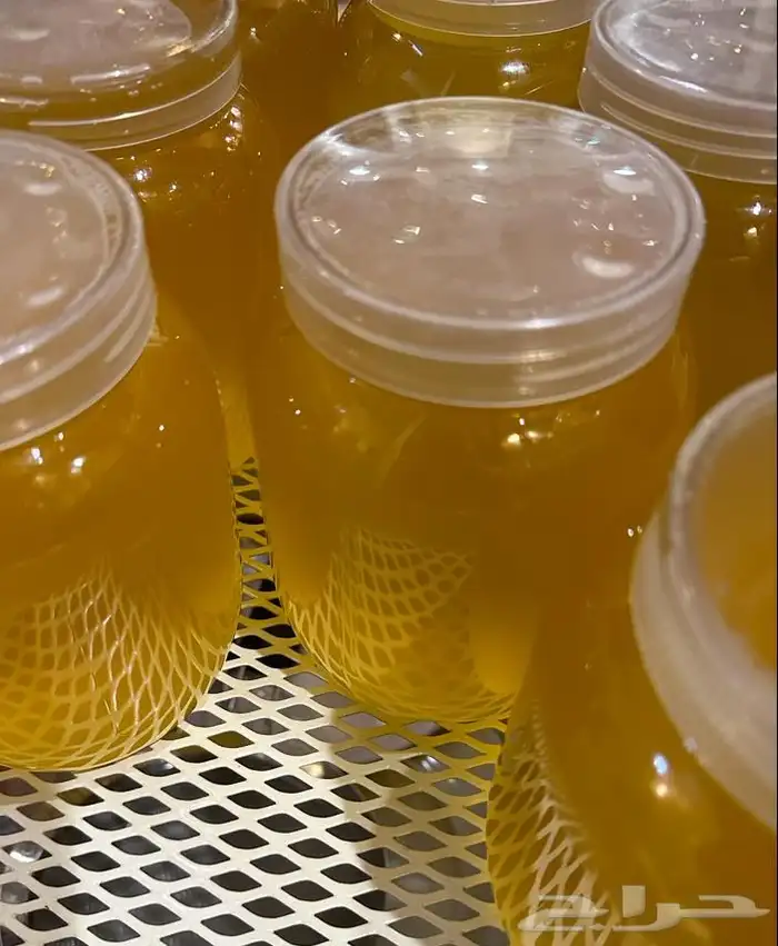 سمن غنم فاخر للبيع 1