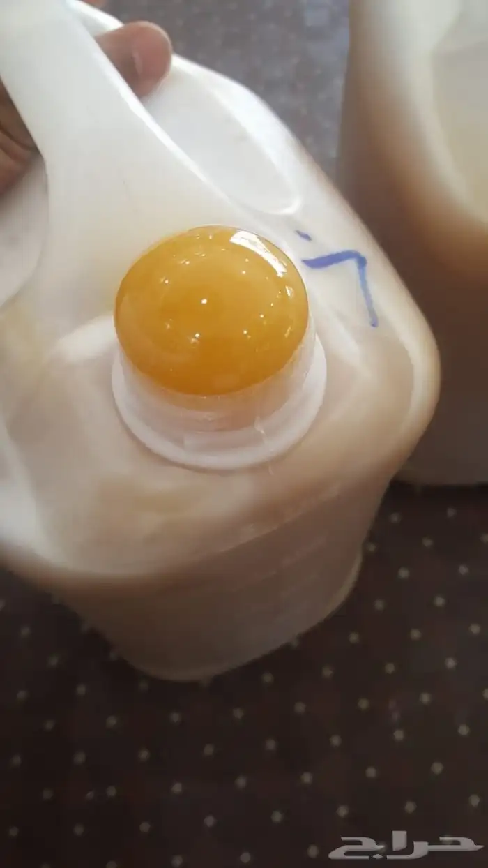 عسل سدر دوعني 9