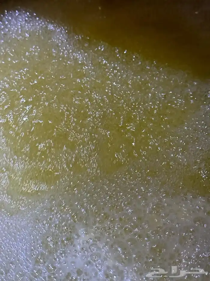 سمن غنم فاخر للبيع 3