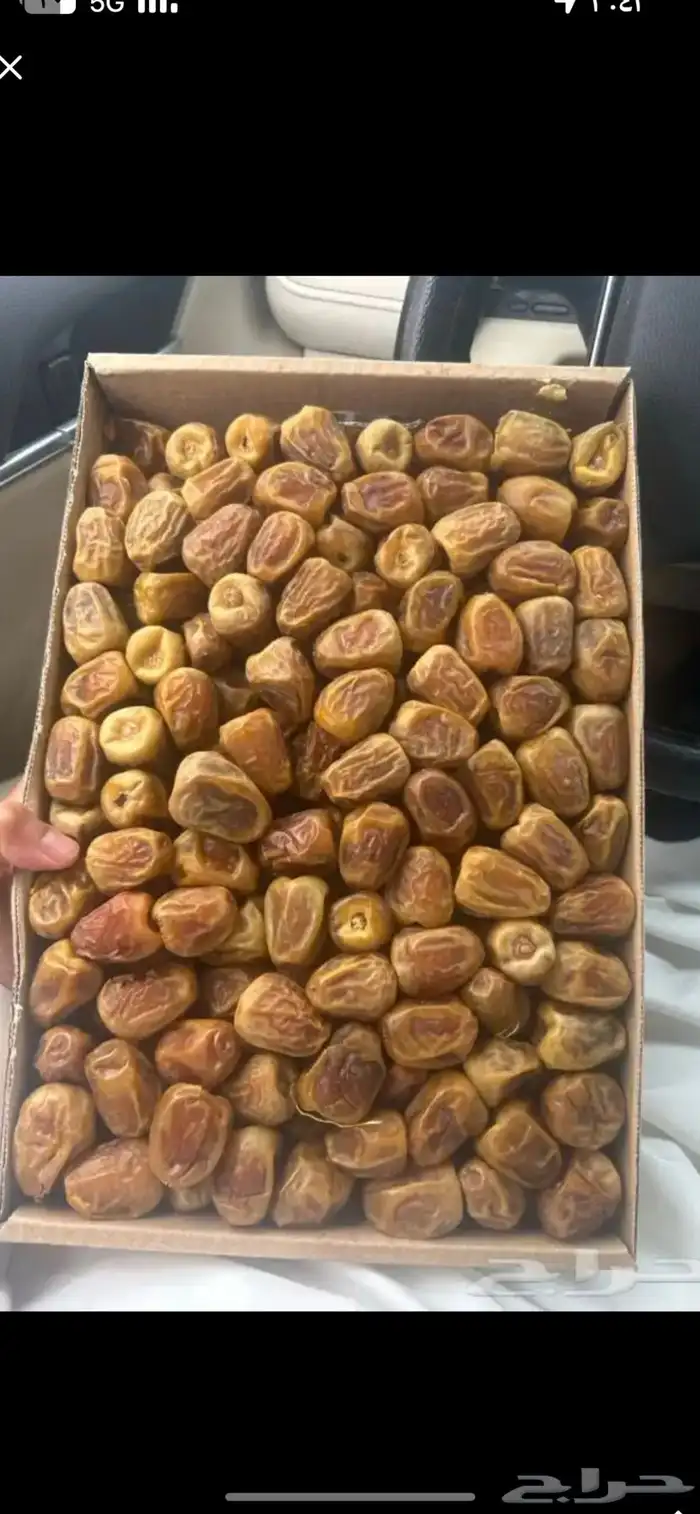 تمر سكري و مفتل ومجرش و خلاص وادي الدواسر 32