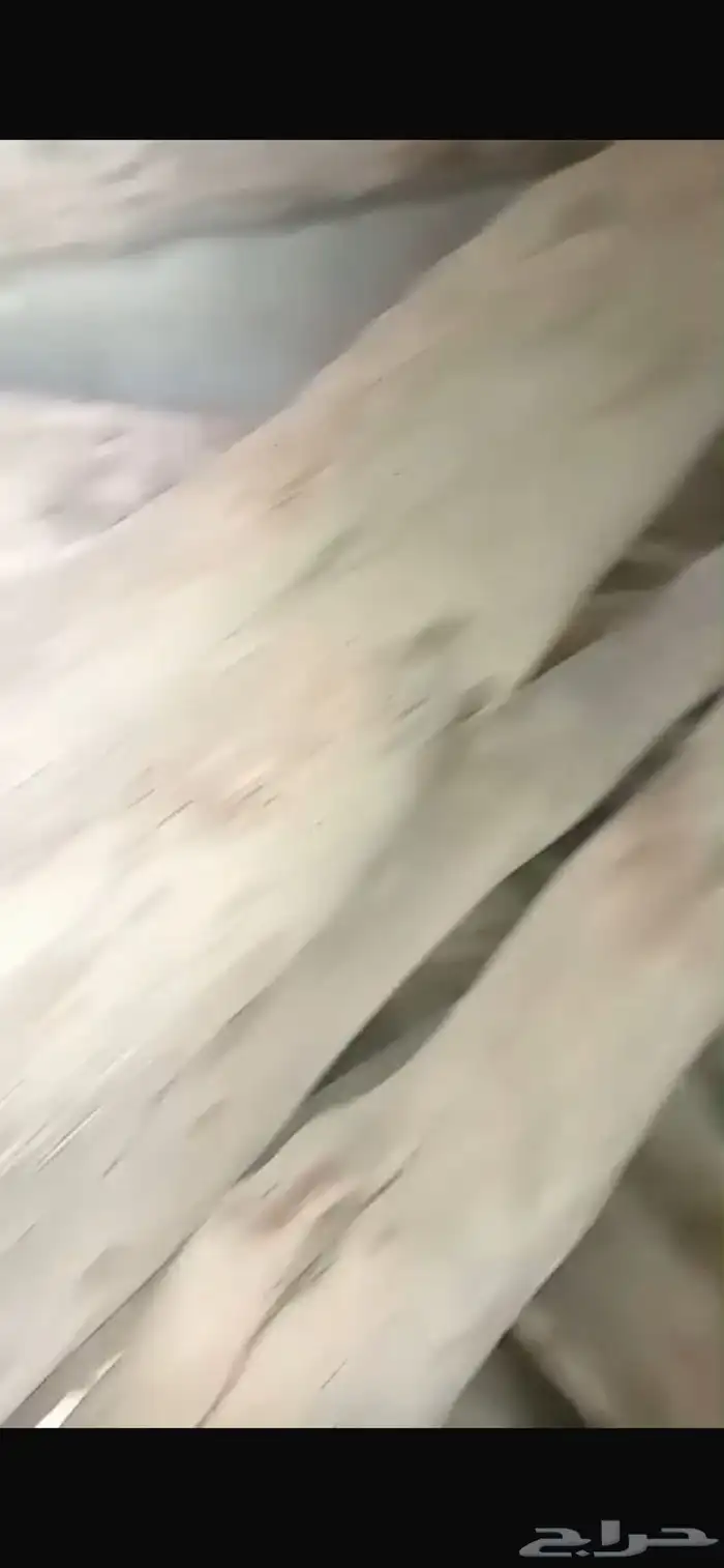 عمير تراثي 3