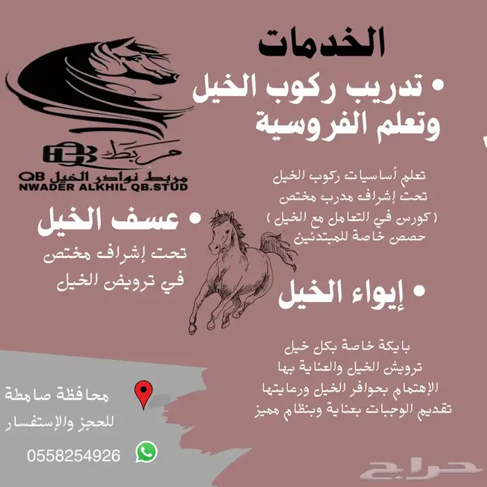 مربط نوادر الخيل QB (صامطه) 21