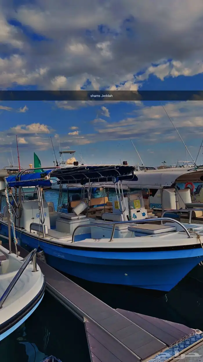 رحلات بحرية لجزيرة بياضة 26