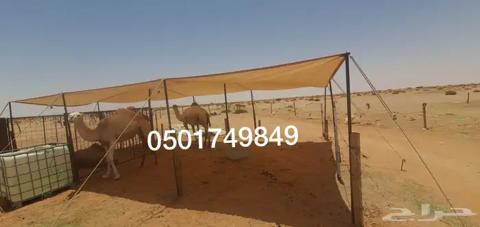 مضلات الغنم والابل وتصلح مواقف سياره 8