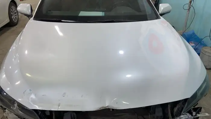كبوت افلون 2019 1